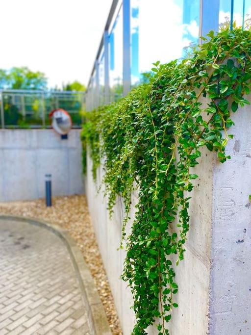 Smart Art :) Z Bezplatnym Parkingiem Podziemnym Apartment Kielce Exterior photo