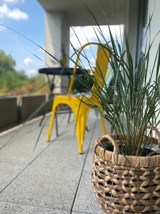Smart Art :) Z Bezplatnym Parkingiem Podziemnym Apartment Kielce Exterior photo